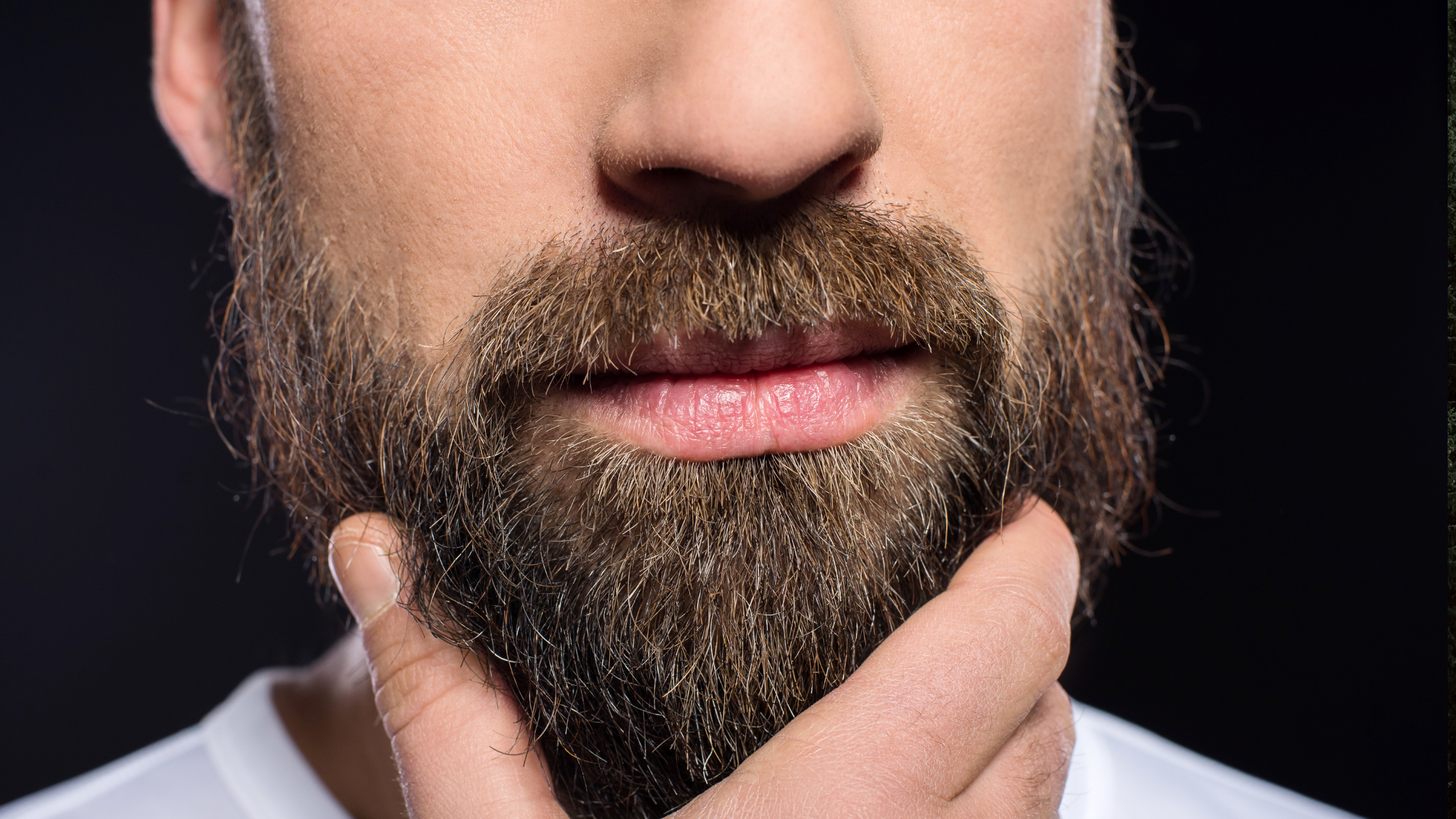 What's the Difference Between Beard Oil, Balm, and Butter?