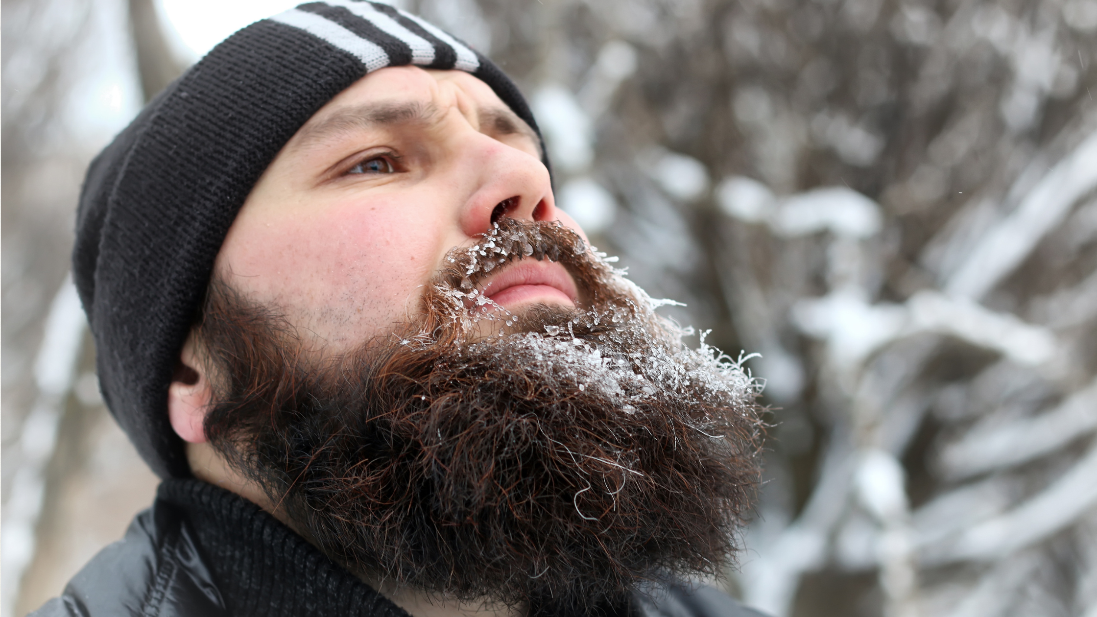 How to Prevent a Dry and Flaking Beard in the Fall and Winter