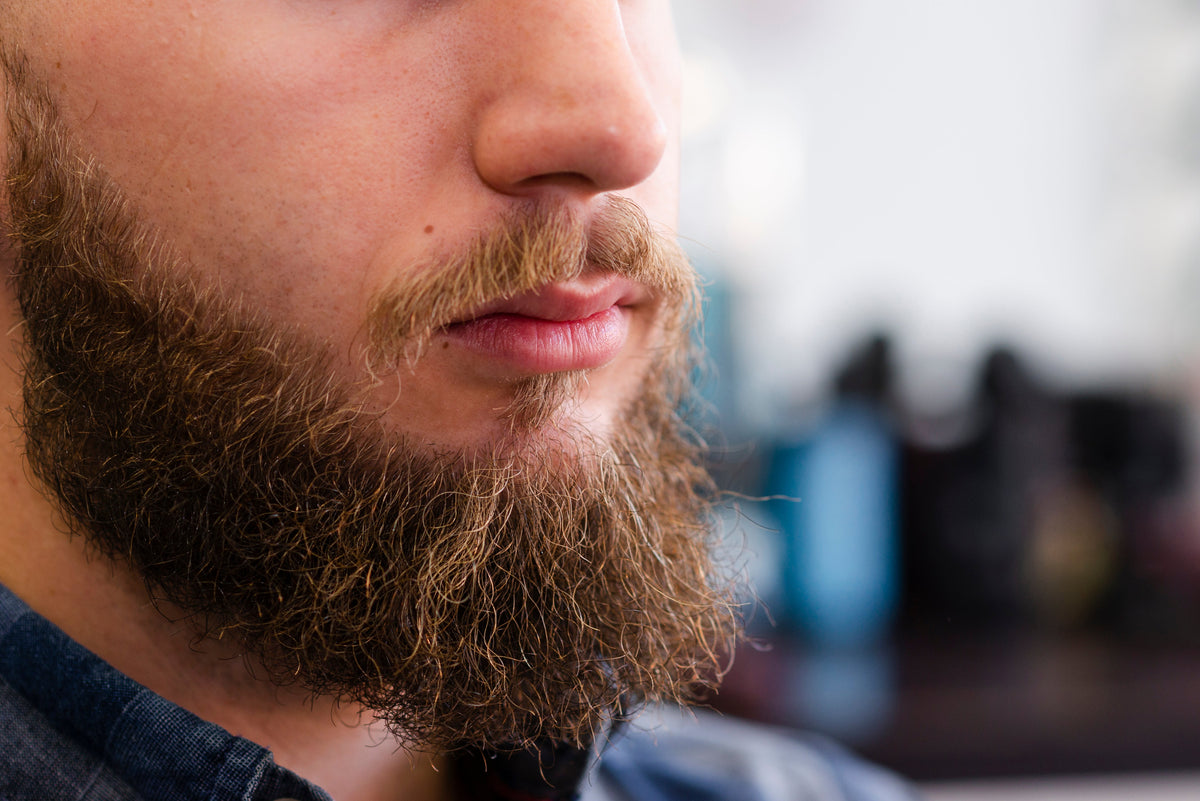 Beard Hair Texture Just For Men Touch Of Gray Mustache And Beard,